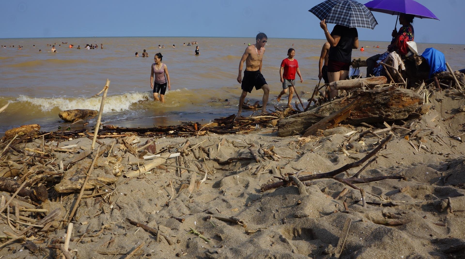 bien Sam Son ngap rac cui anh 7