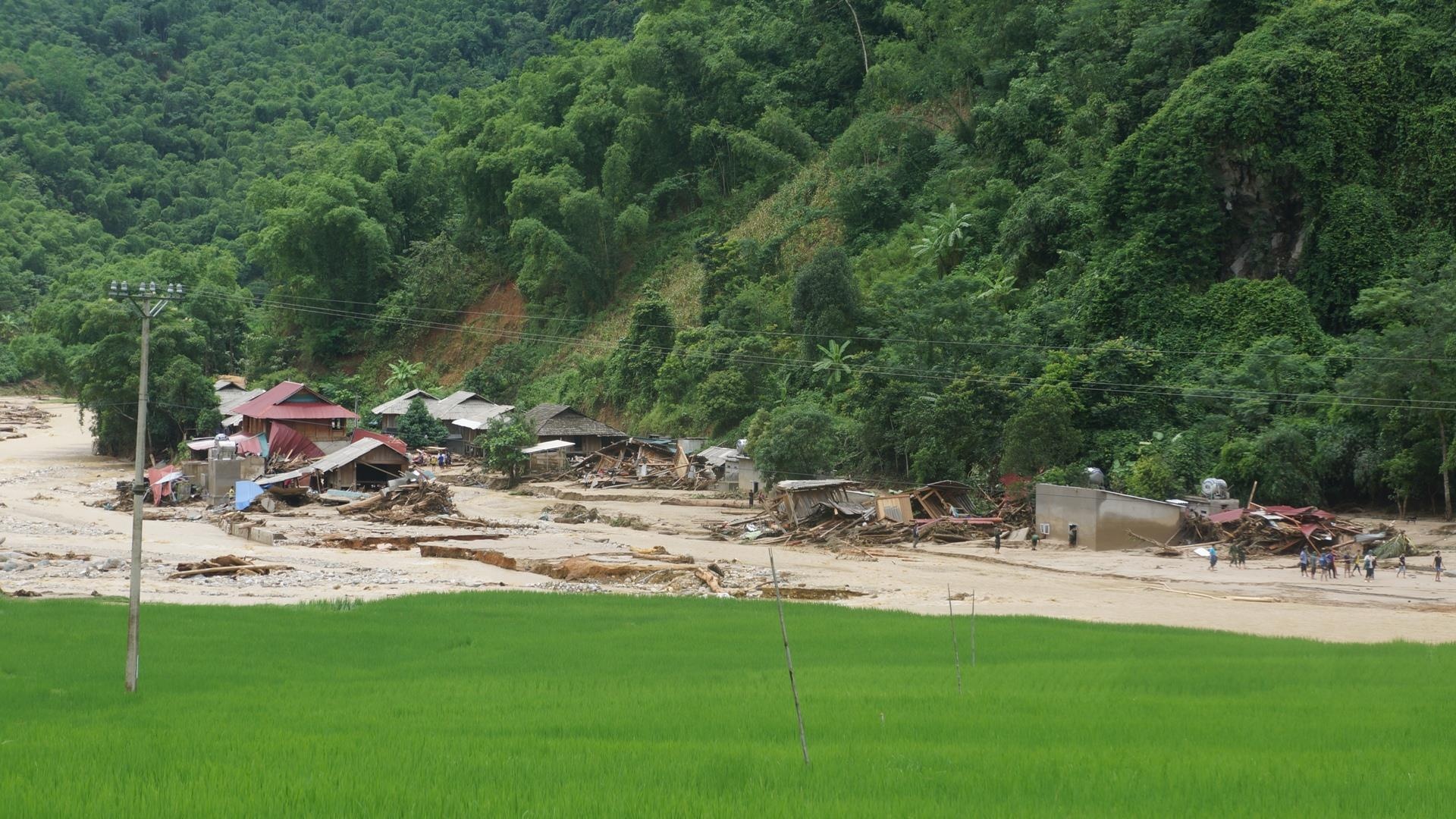 Lu do suoi bi chan dong anh 1
