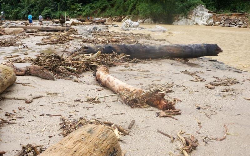 Con lu cuon 15 nguoi co the do suoi bi chan dong chay hinh anh