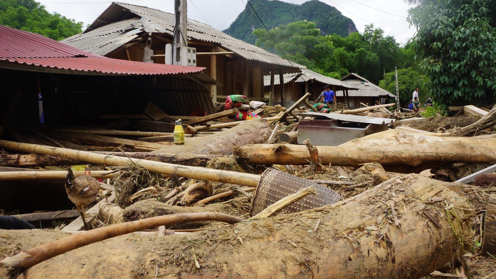 go sau lu o Thanh Hoa anh 1