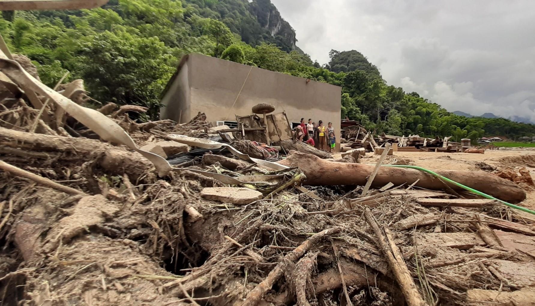 go sau lu o Thanh Hoa anh 2