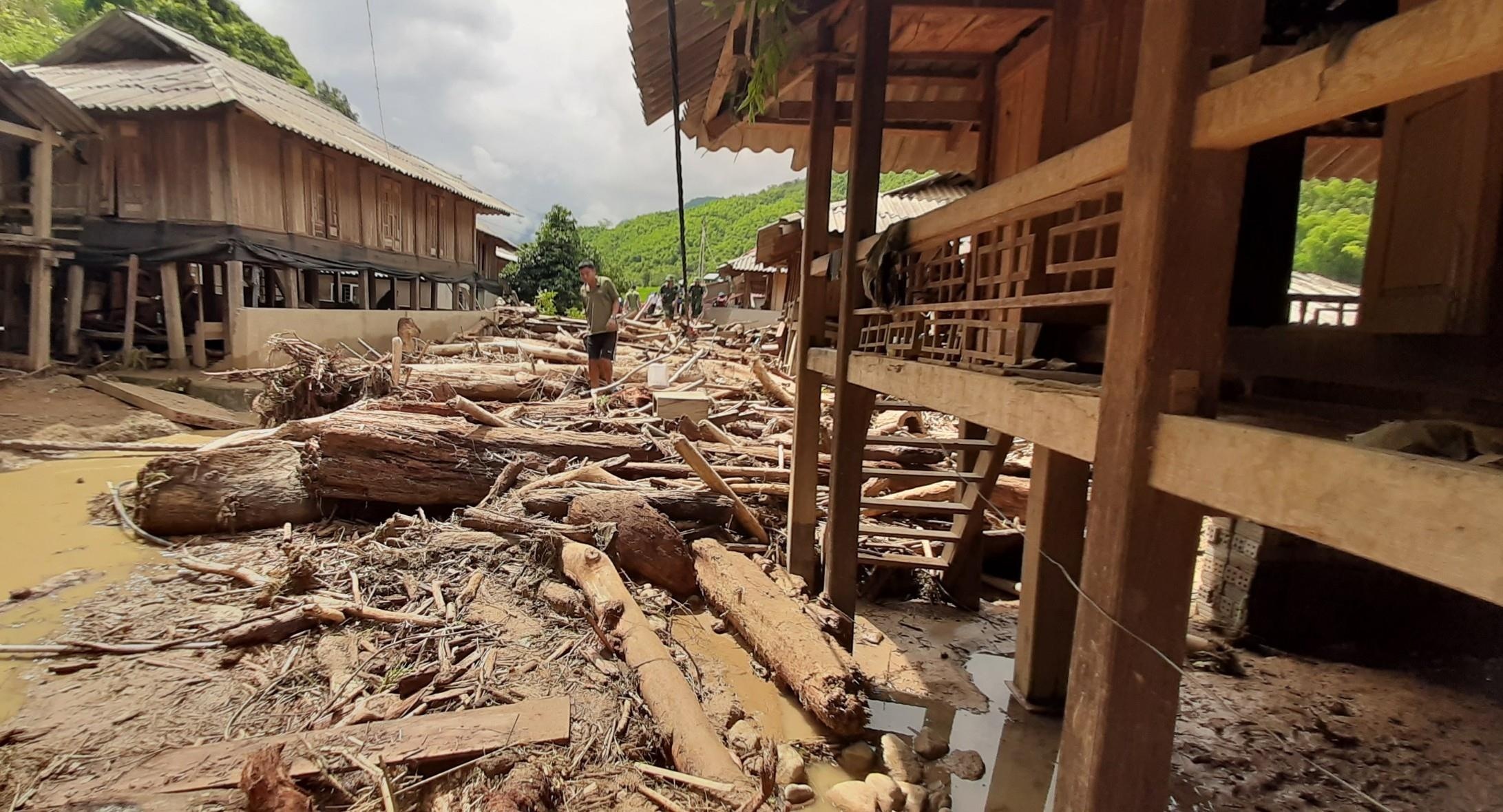 go sau lu o Thanh Hoa anh 4