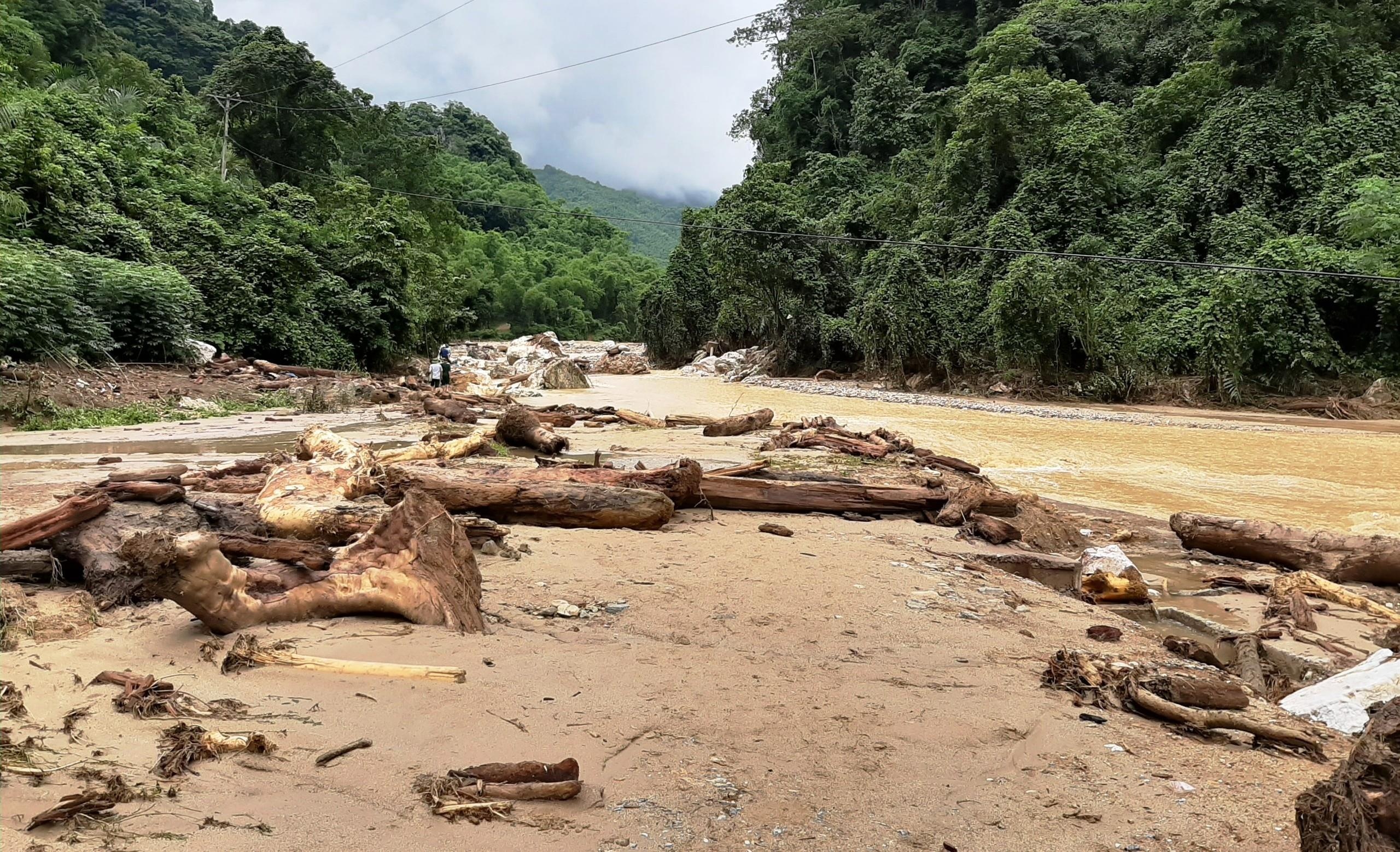 go sau lu o Thanh Hoa anh 7