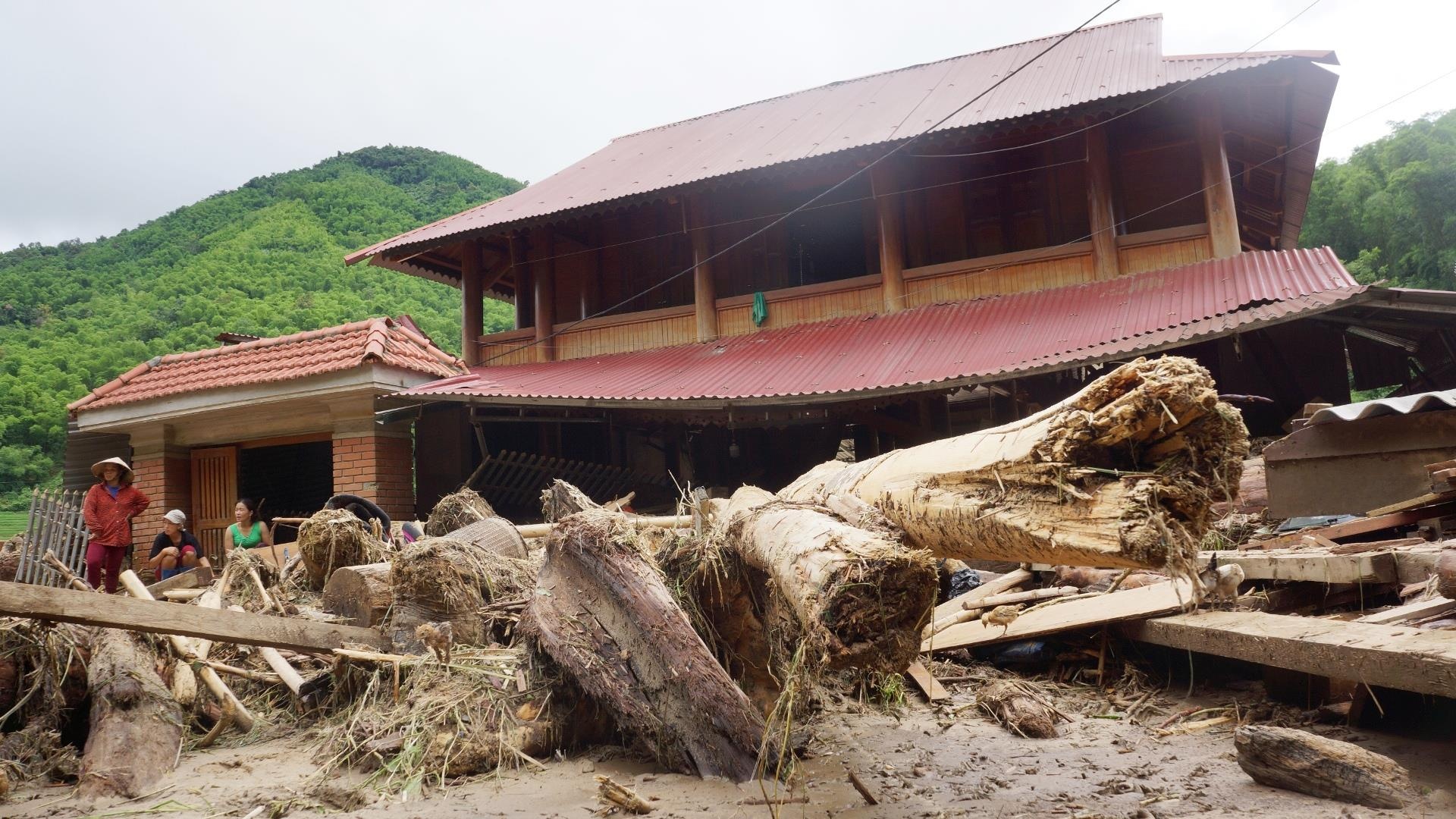 go sau lu o Thanh Hoa anh 5