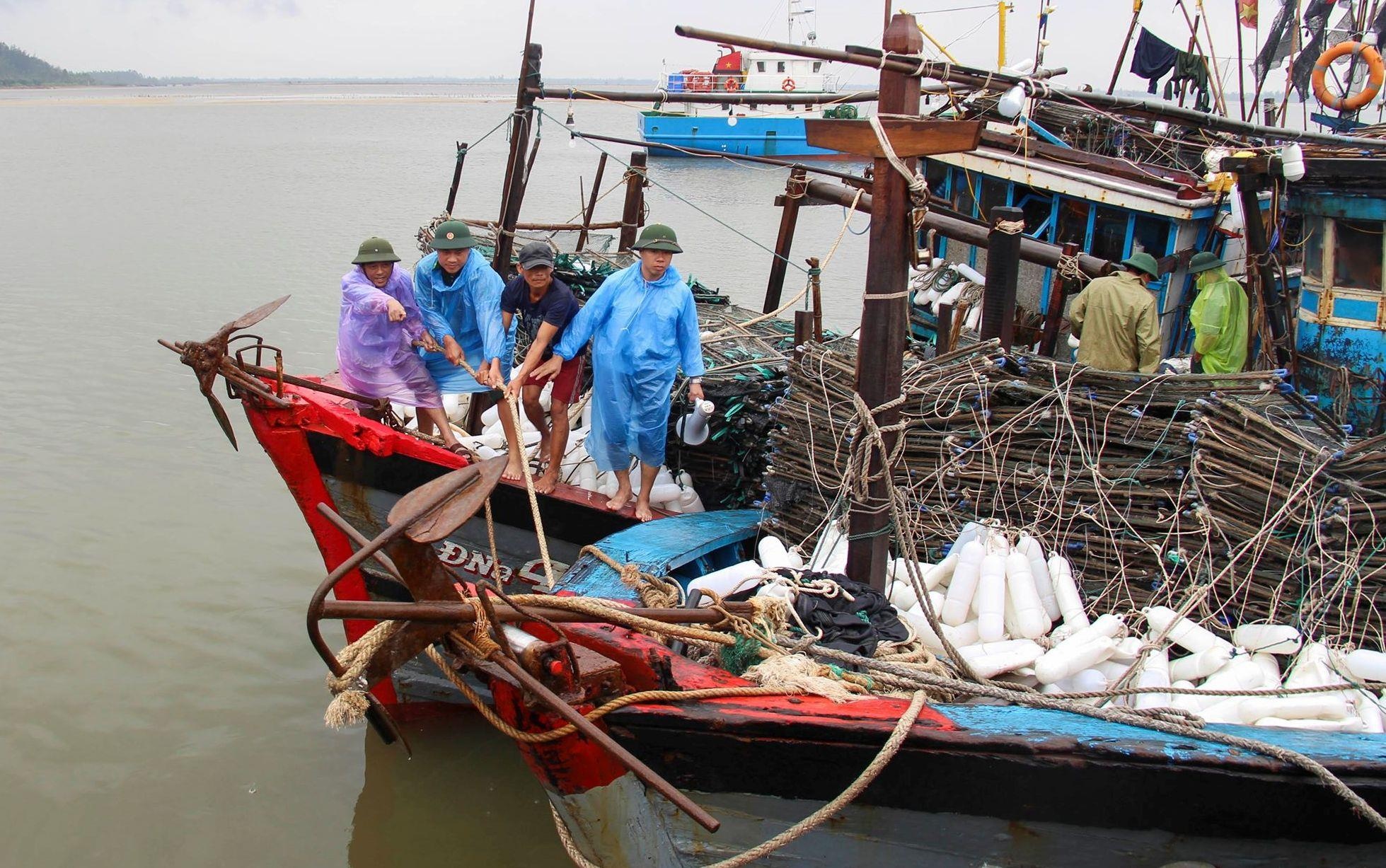 Cac tinh Bac Trung Bo cam bien, thu hoach lua chay bao so 4 hinh anh