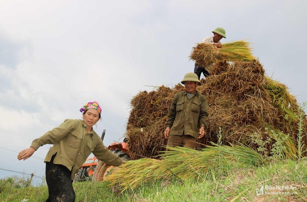 cam bien bao so 4 anh 1