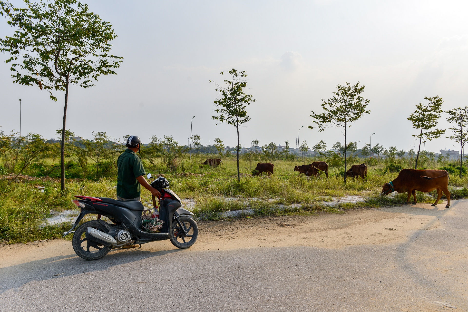 375 lô đất vàng nhìn từ trên cao ảnh 8 375 lo dat vang nhin tu tren cao anh 8