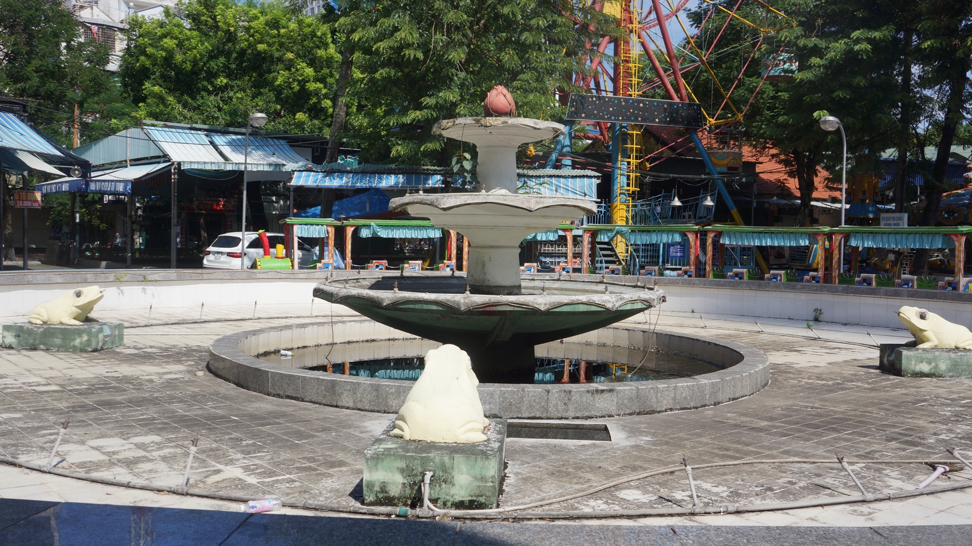 tiec nuoi vuon hoa Kim Dong anh 5