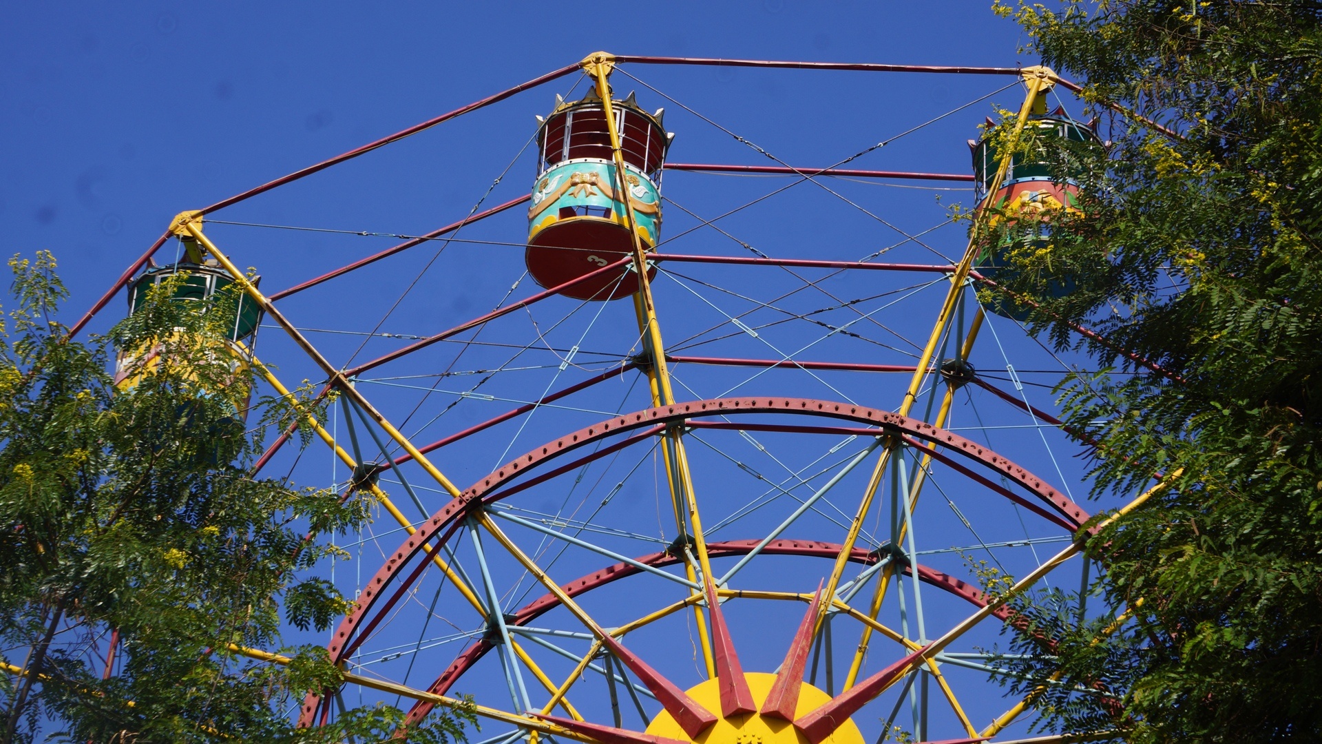 tiec nuoi vuon hoa Kim Dong anh 7