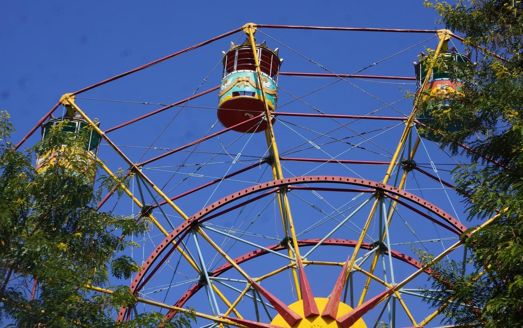 Nguoi Hai Phong tiec nuoi khi Vuon hoa Kim Dong phai di doi hinh anh