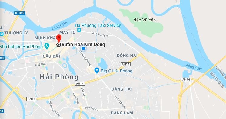 tiec nuoi vuon hoa Kim Dong anh 12