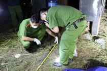 Khoi to vu chong dung dao dam vo roi cat co tu sat hinh anh