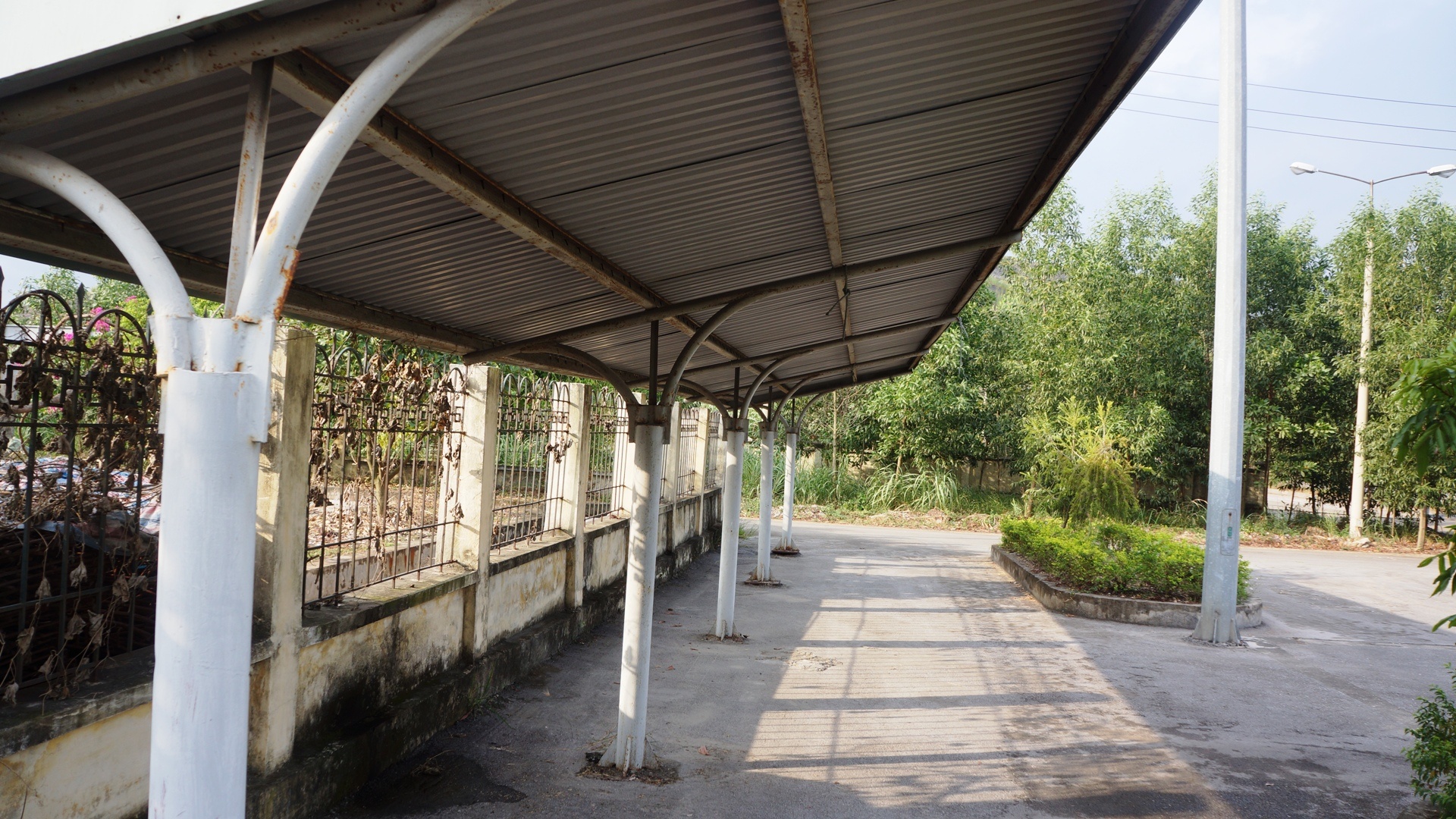 Ga khong bong tau anh 8