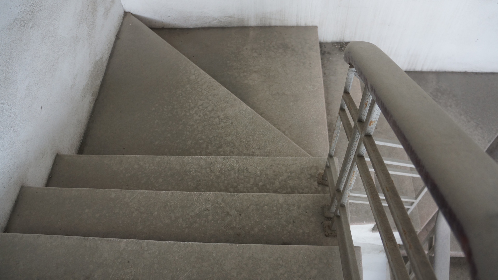 Ga khong bong tau anh 7