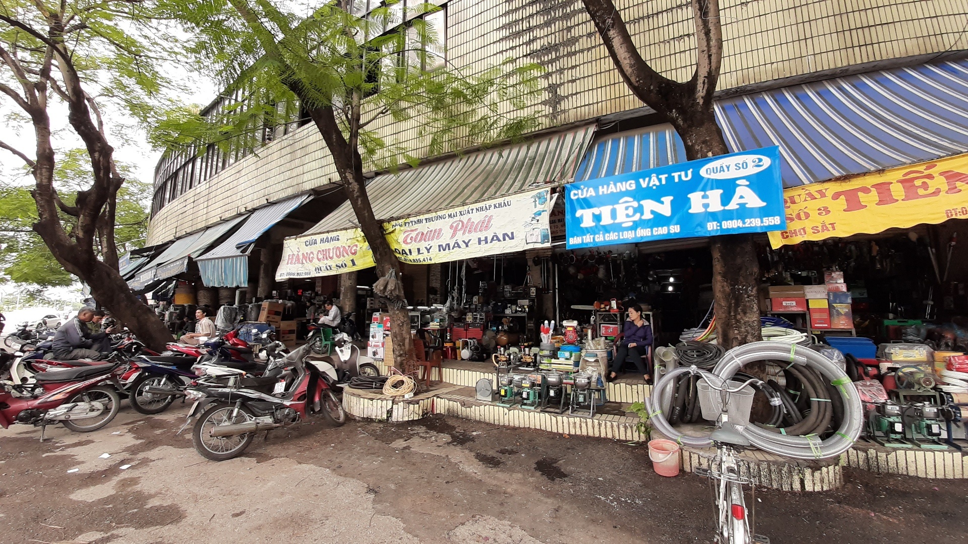 Cho Sat diu hiu anh 2