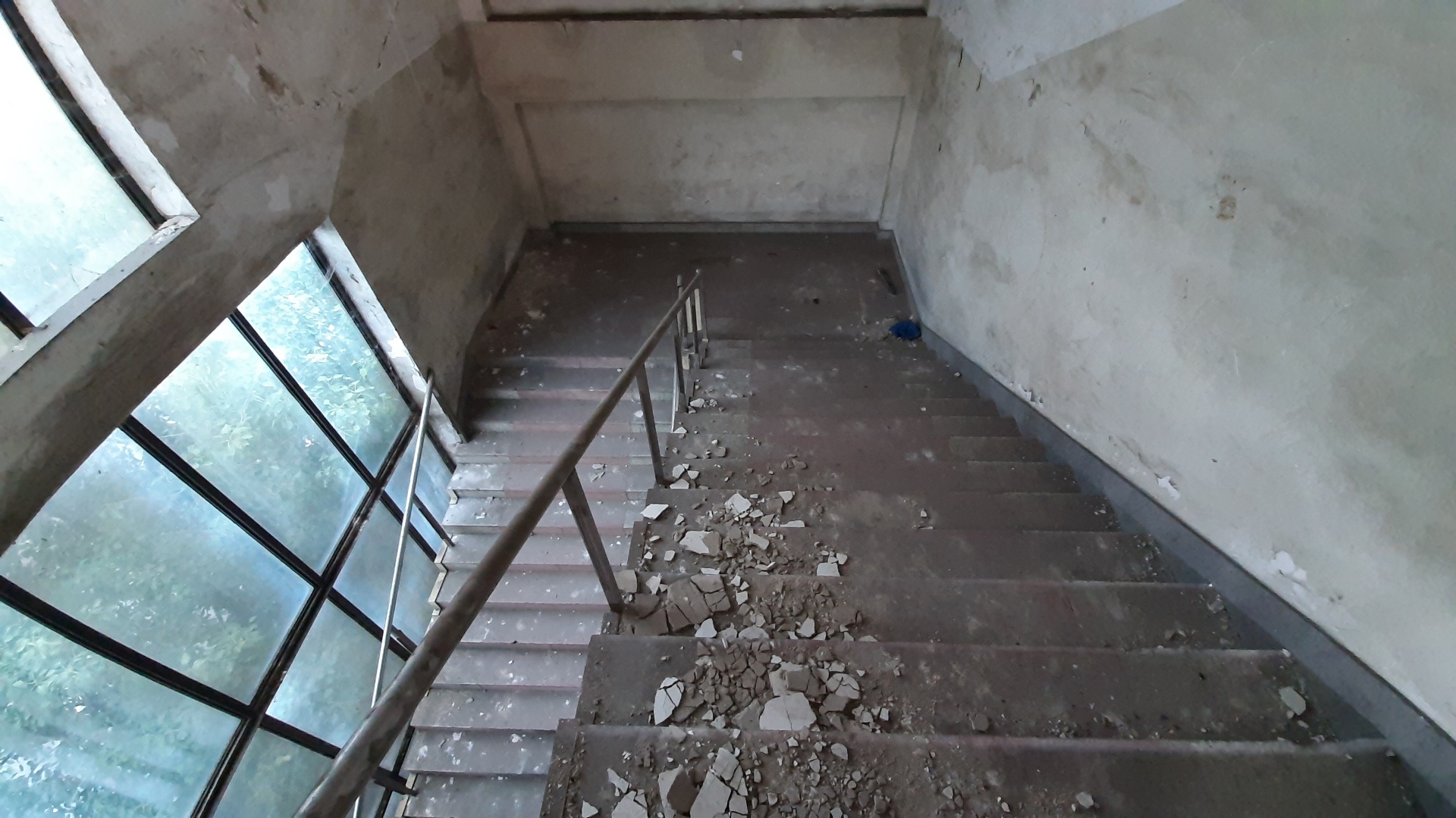 Cho Sat diu hiu anh 8