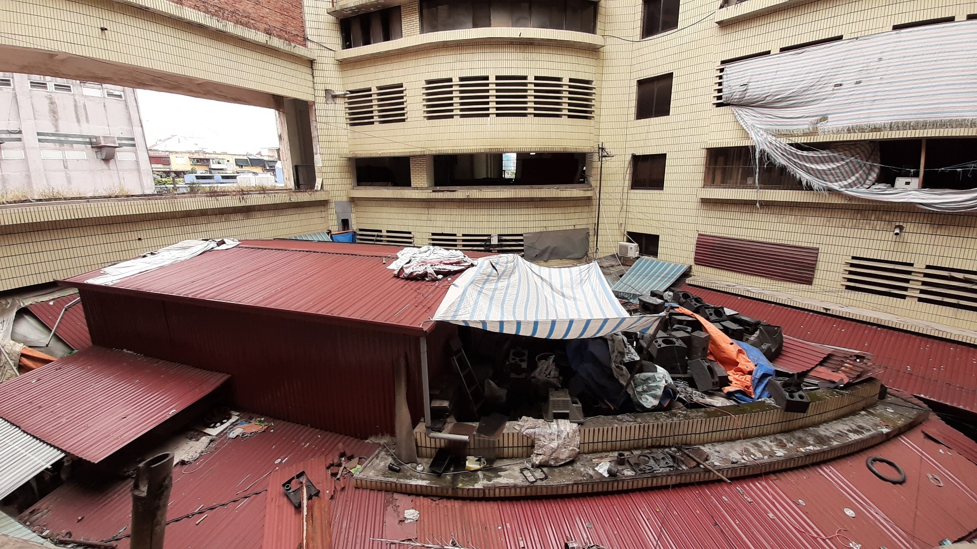 Cho Sat diu hiu anh 11