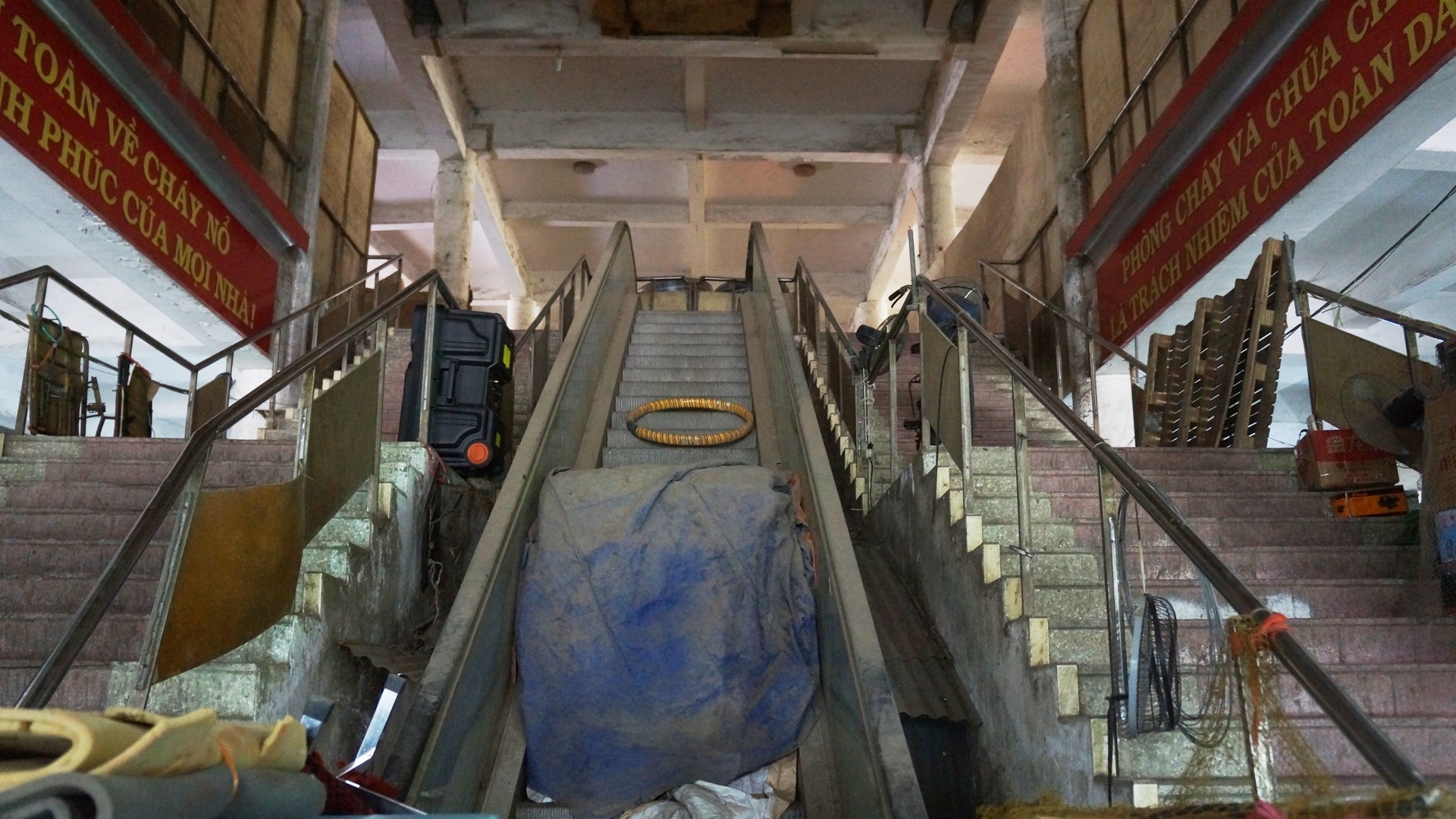 Cho Sat diu hiu anh 5