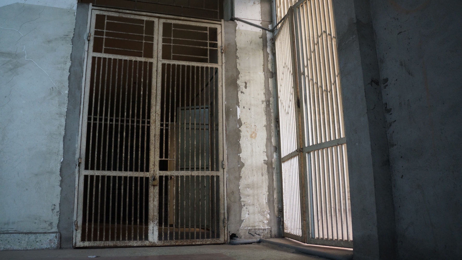 Cho Sat diu hiu anh 9