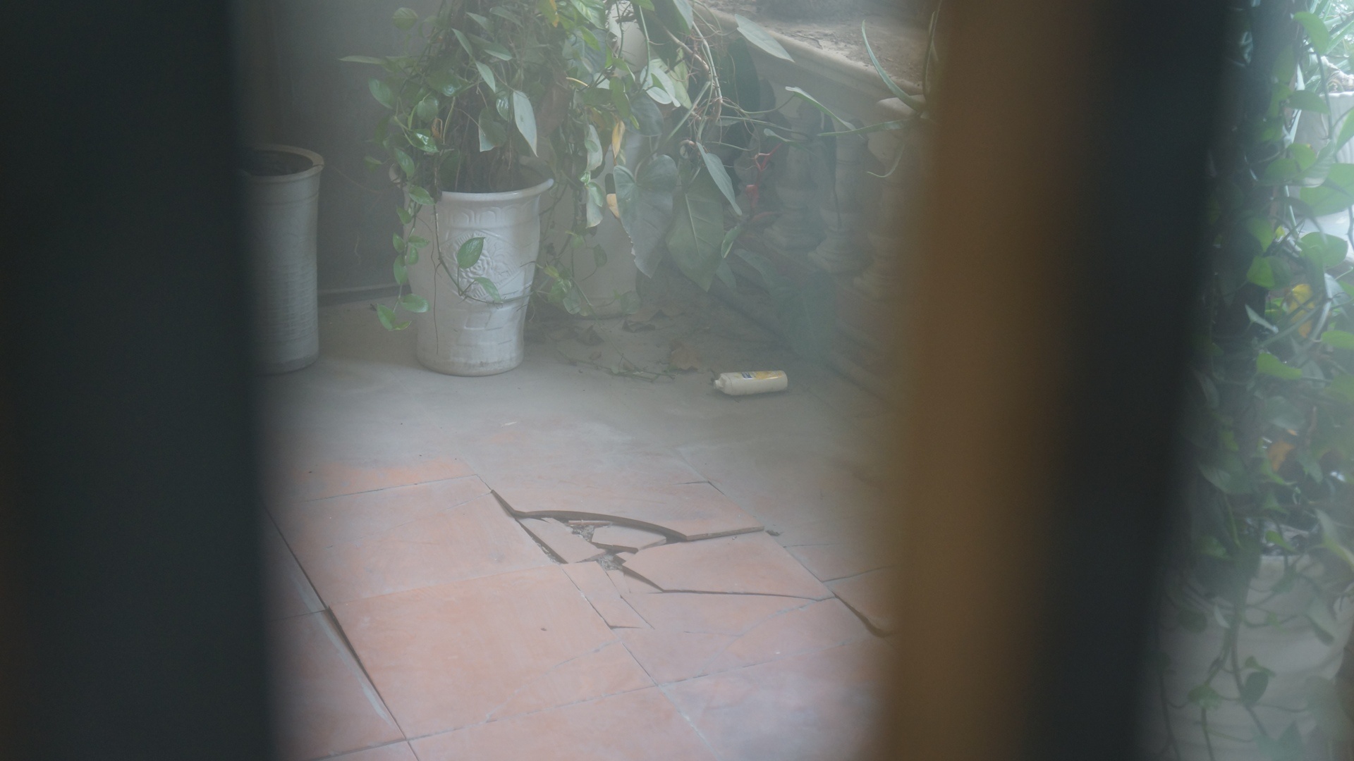 Cho Sat diu hiu anh 10