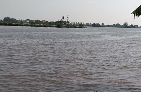 Chim tau cho gach, mot nguoi mat tich hinh anh