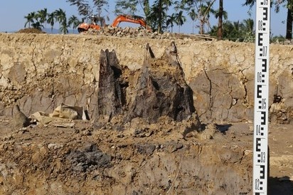 bai coc Bach Dang anh 2