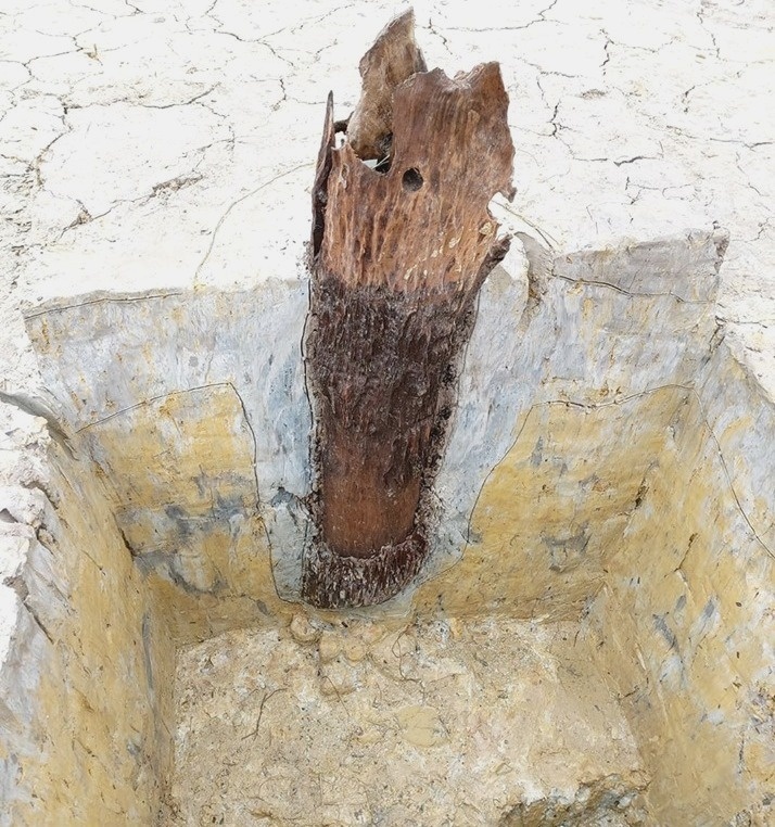 can canh bai coc anh 6