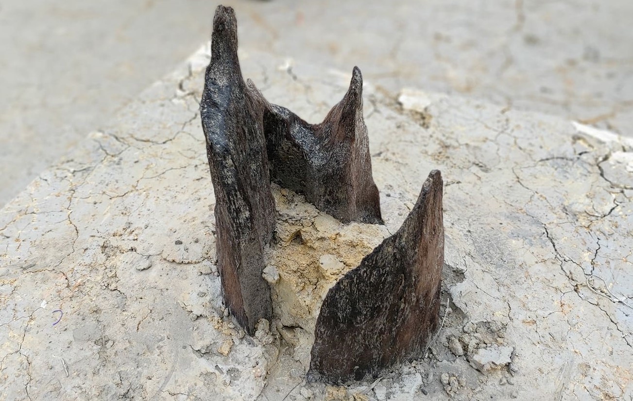 Bai coc co lam thay doi nhan thuc ve chien thang Bach Dang nam 1288 hinh anh