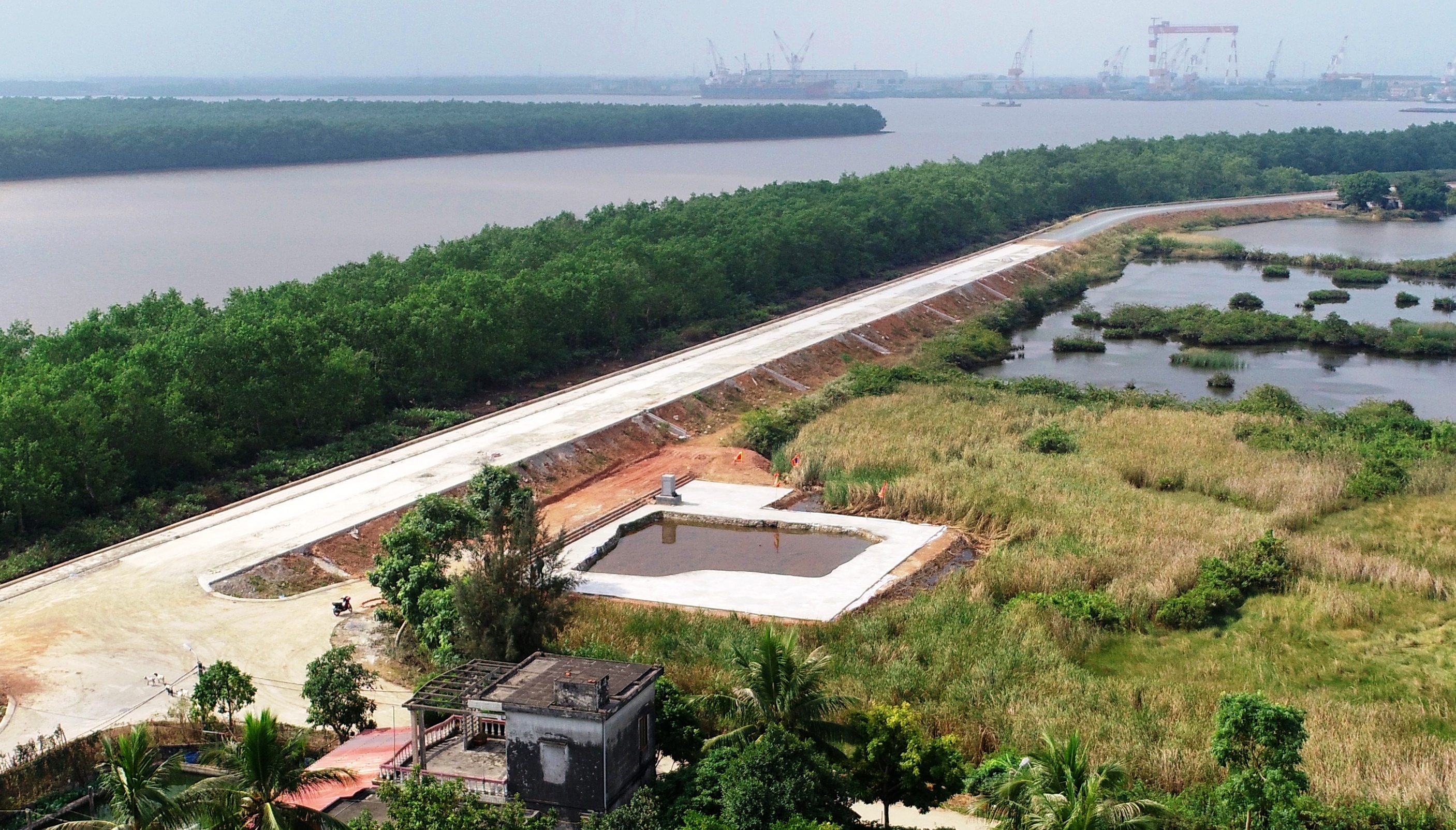 Bai coc Bach Dang anh 1