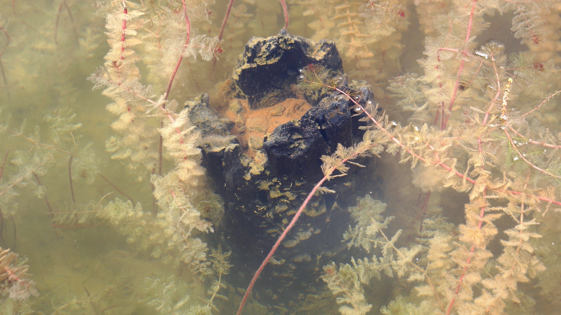 nhung noi co bai coc Bach Dang anh 5