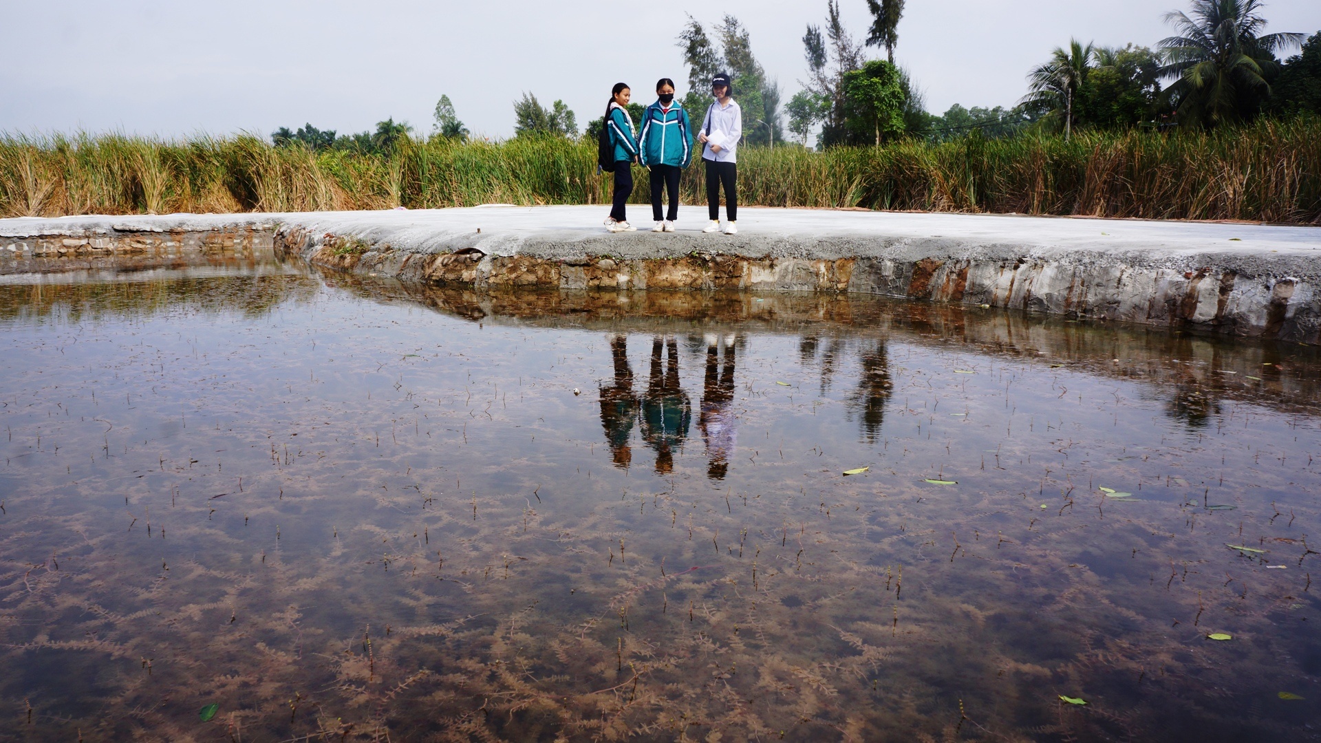 nhung noi co bai coc Bach Dang anh 3