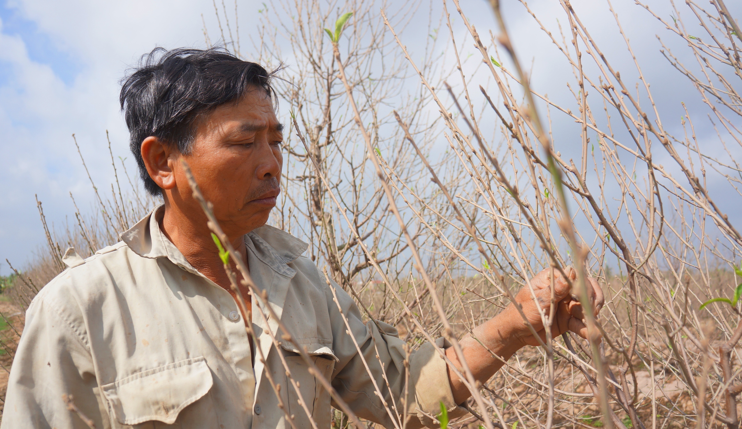 Bui duong phu trang 1.200 goc dao, chu vuon nguy co mat tien ty hinh anh