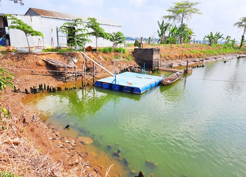 dai gia thuy san tron di nuoc ngoai anh 3