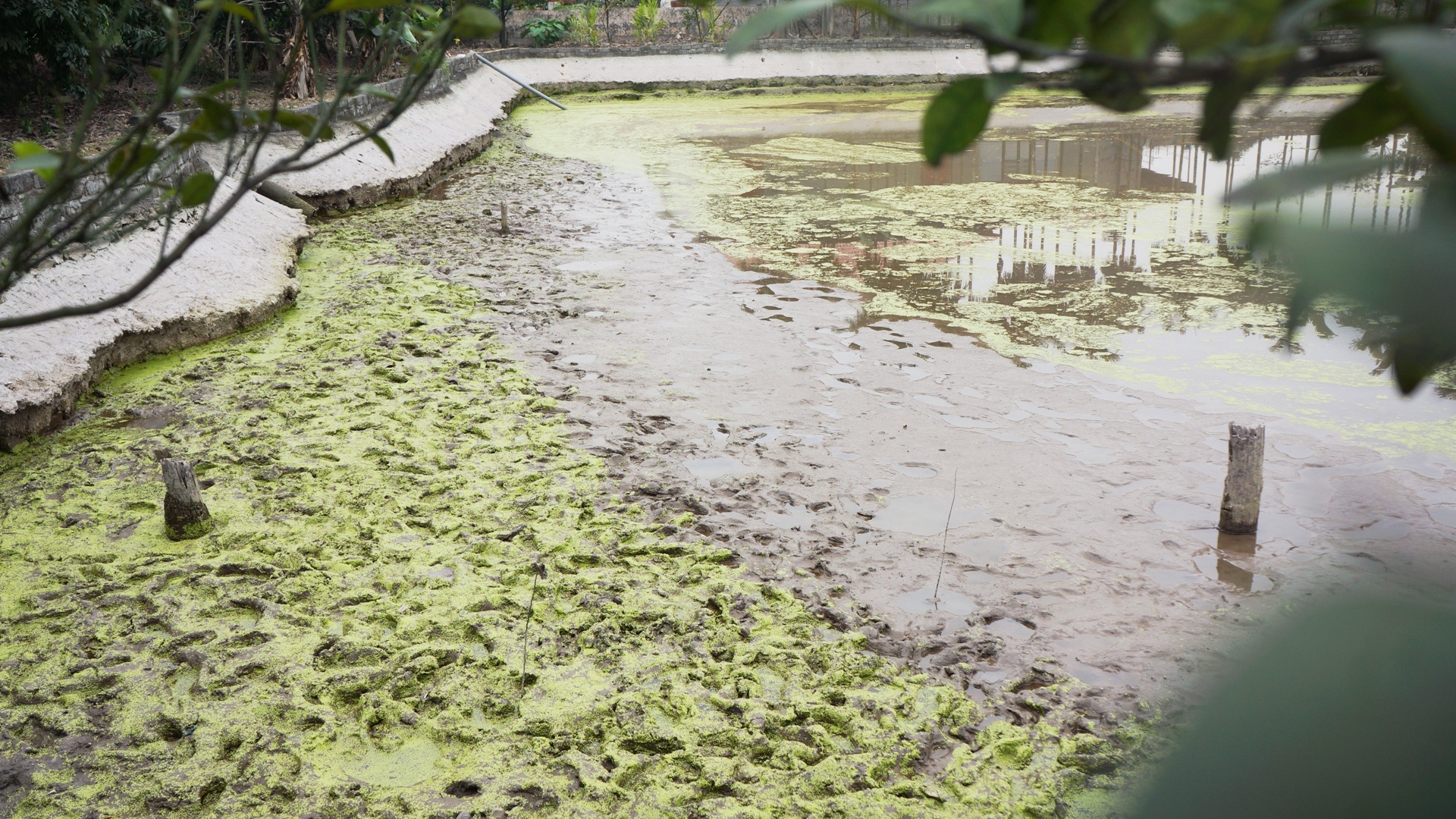 Hai Phong khai quat 13 coc go anh 1