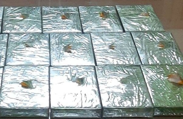 Khách đi tàu mang theo 17 bánh heroin ảnh 2 Khach di tau mang theo 17 banh heroin anh 2