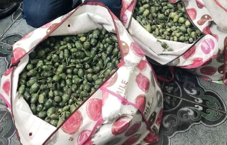 Cho 50 kg qua thuoc phien di ban cho khach ngam ruou hinh anh