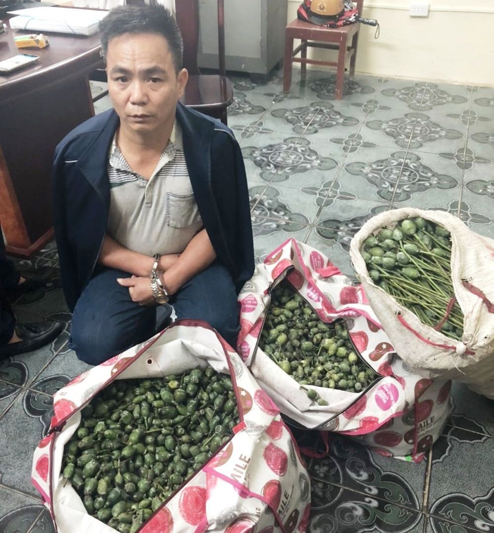 cho 3 bao qua thuoc phien anh 1