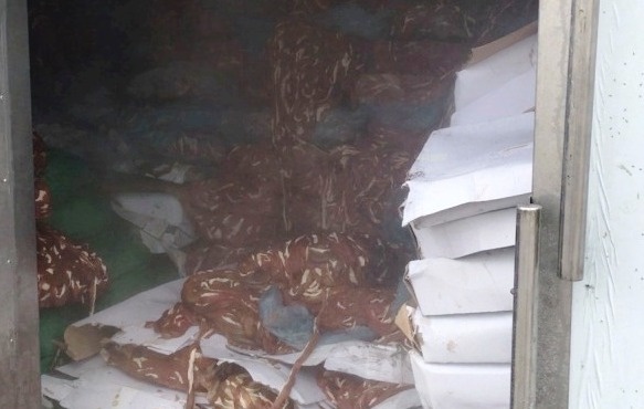 kho chua 50 tan noi tang anh 1