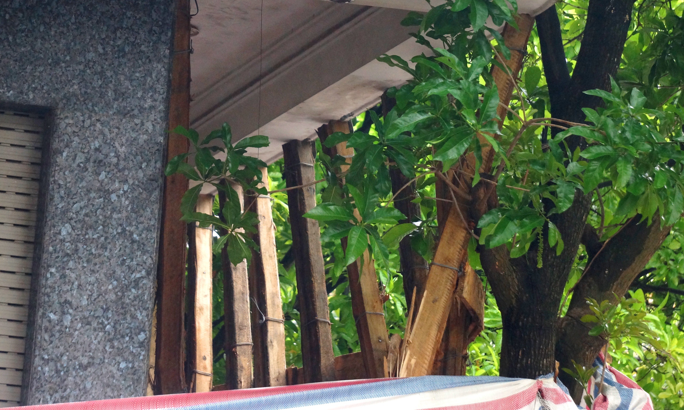 ngoi nha 4 tang nghieng anh 2