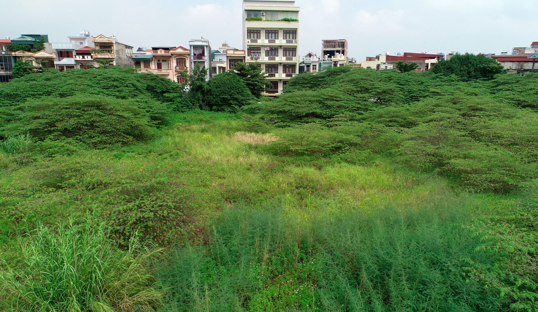 dat vang TP Hai Duong bo hoang anh 2