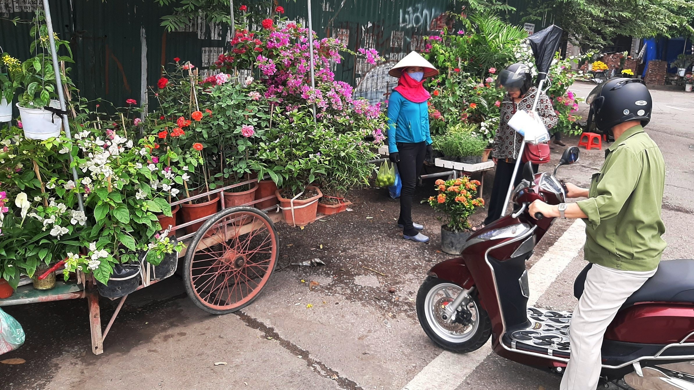dat vang TP Hai Duong bo hoang anh 6