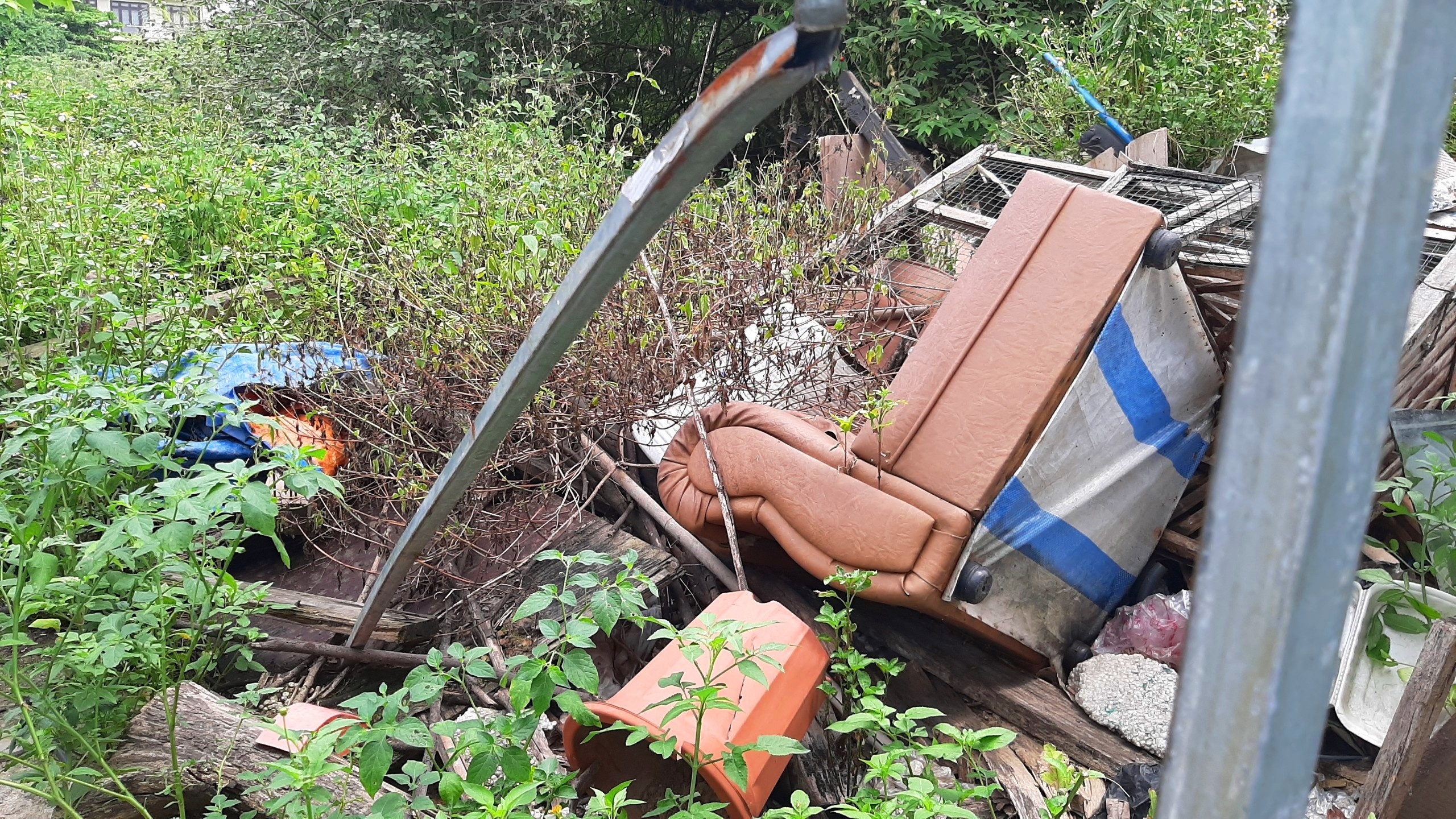 dat vang TP Hai Duong bo hoang anh 4