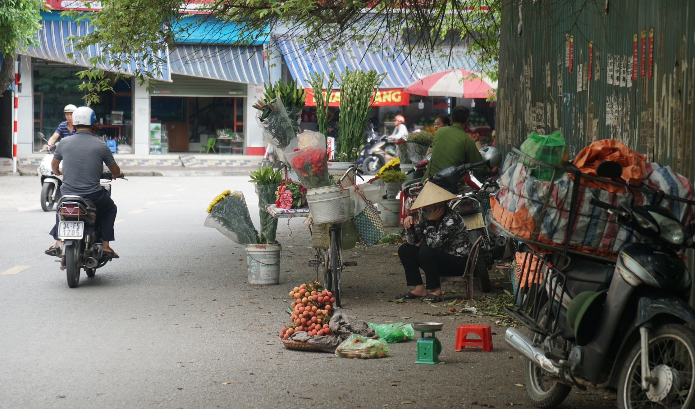 dat vang TP Hai Duong bo hoang anh 9