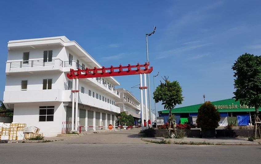 Hai Phong xem xet ky luat hang loat can bo hinh anh