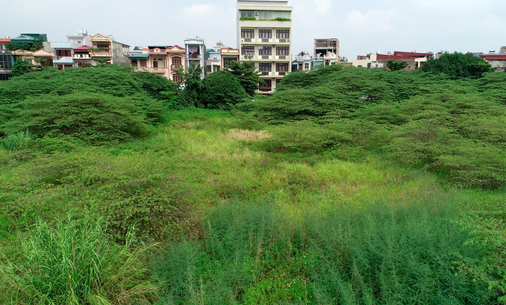 Vi sao gan 8.000 m2 dat vang bi bo hoang giua trung tam TP Hai Duong? hinh anh