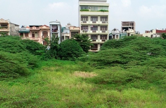 Dan buc xuc vi 8.000 m2 dat vang de hoang, lang phi hinh anh