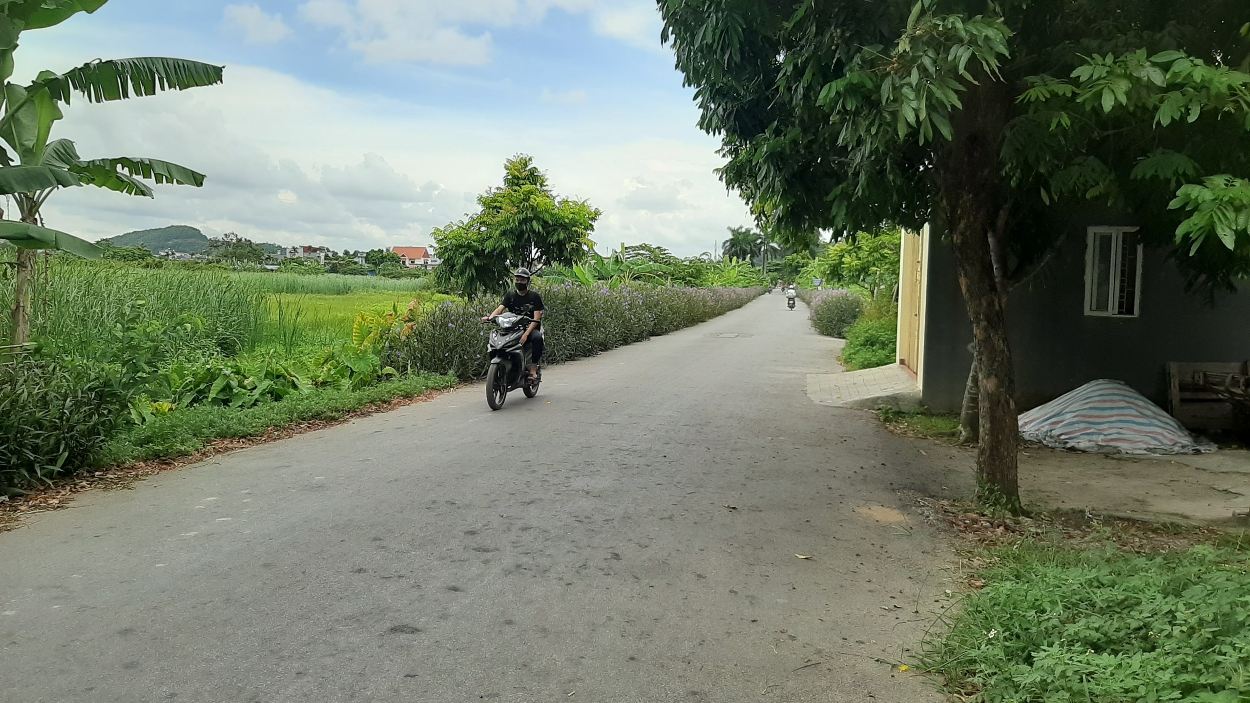 cán bộ phường bị chém ảnh 2 can bo phuong bi chem anh 2