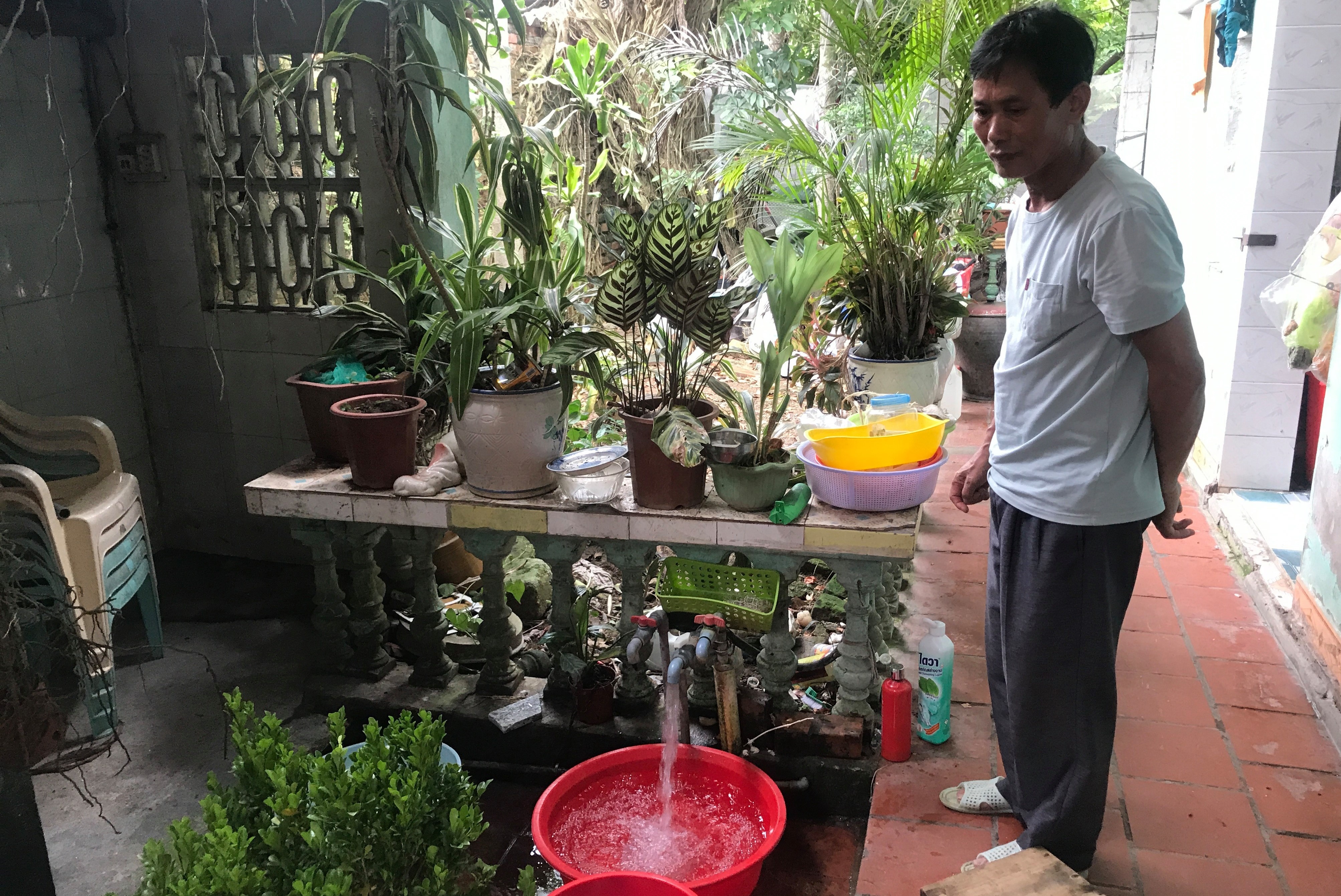 dao lon vi nuoc sach nhiem ban anh 2