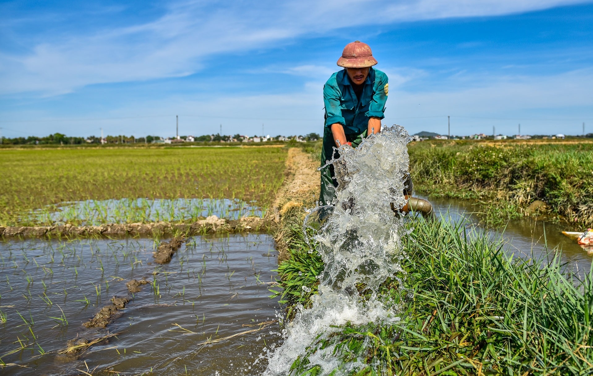 trang dem cuu lua anh 2