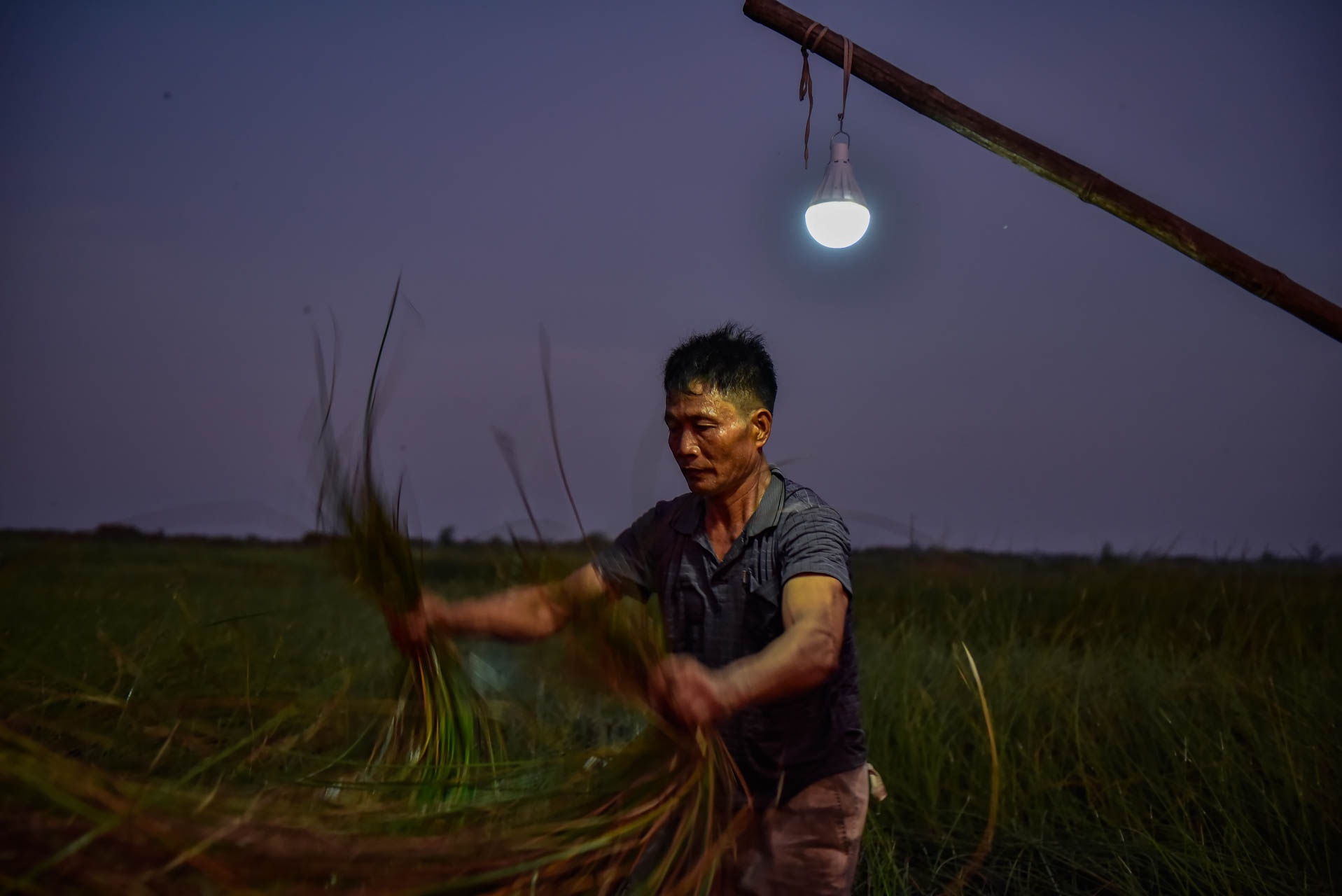 chong den thu hoach coi anh 1